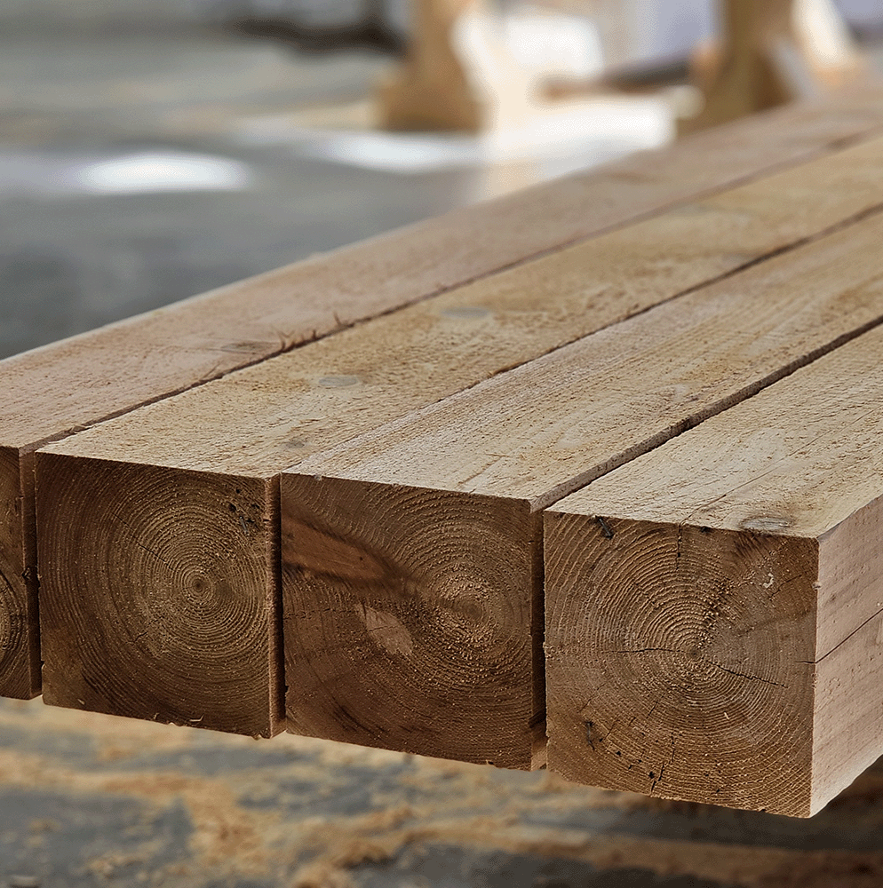 Western Red Cedar